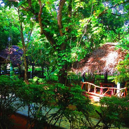 Pelwehera Village Resort Dambulla Buitenkant foto