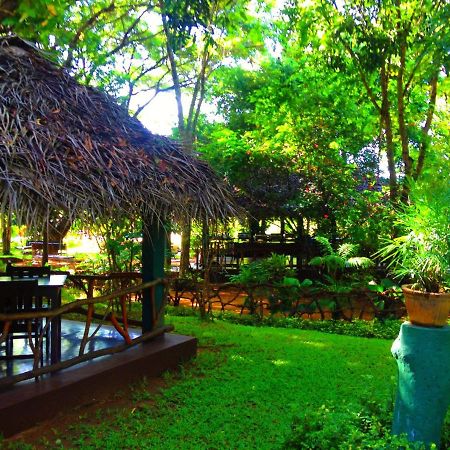 Pelwehera Village Resort Dambulla Buitenkant foto