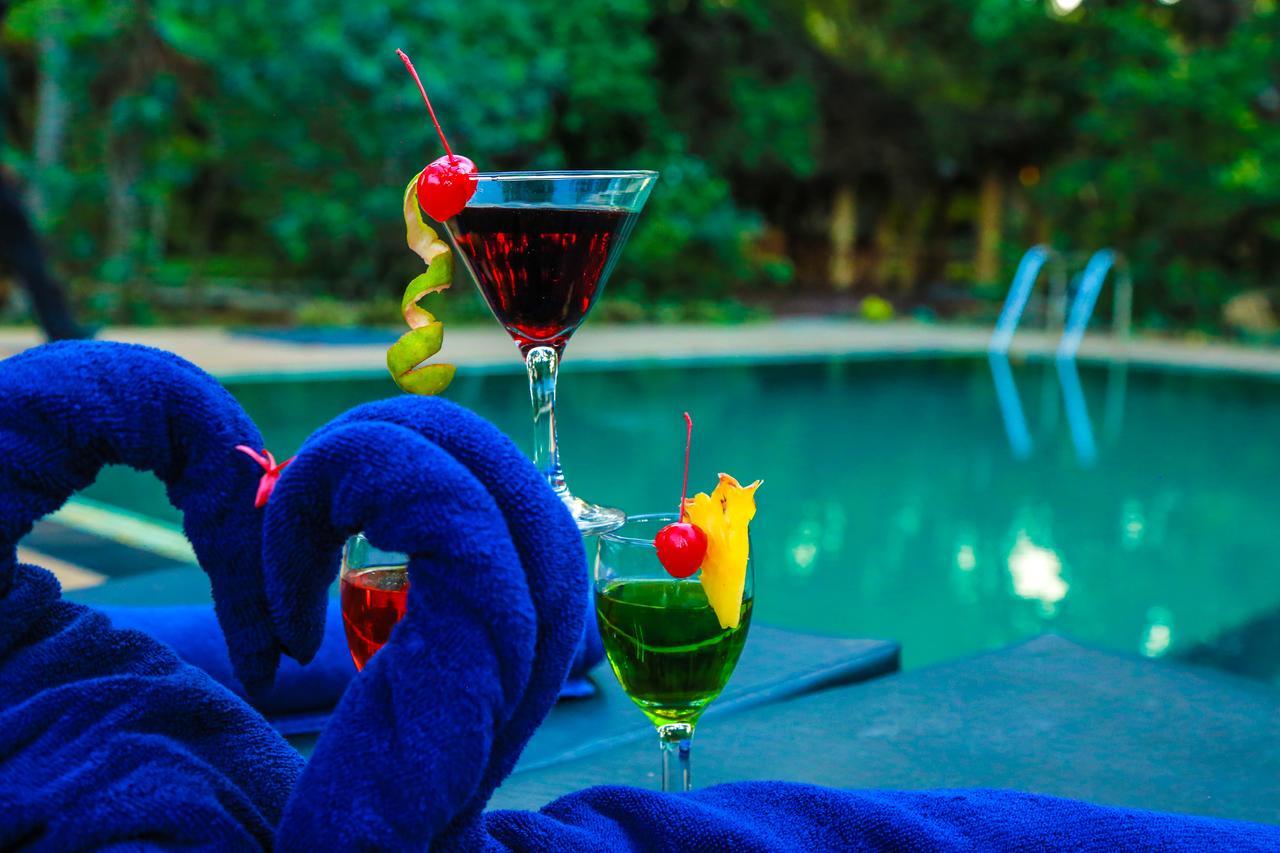 Pelwehera Village Resort Dambulla Buitenkant foto