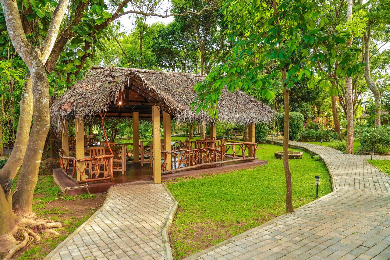 Pelwehera Village Resort Dambulla Buitenkant foto